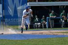 Baseball vs Babson  Wheaton College Baseball vs Babson during Championship game of the NEWMAC Championship hosted by Wheaton. - (Photo by Keith Nordstrom) : Wheaton, baseball, NEWMAC